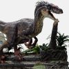 Velociraptor Male - Photo 1 | TopGKStore