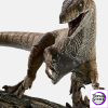 Velociraptor - Photo 1 | TopGKStore