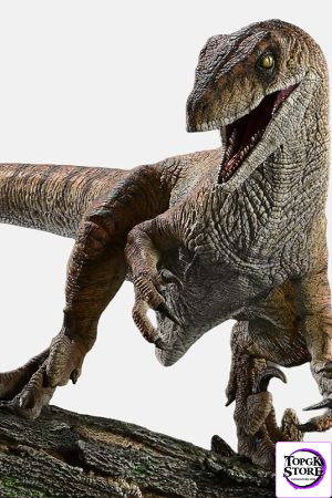 Velociraptor - Photo 1 | TopGKStore