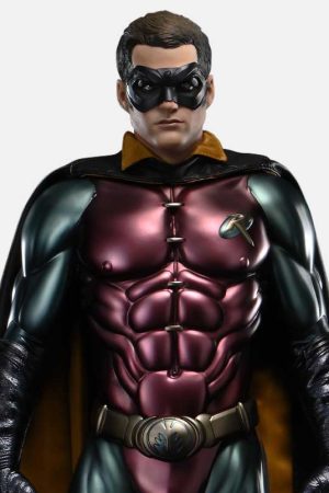 Robin - Photo 1 | TopGKStore