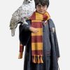 Harry Potter With Hedwig - Photo 1 | TopGKStore