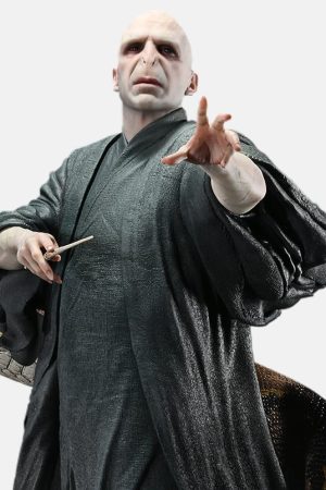 Lord Voldemort - Photo 1 | TopGKStore