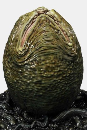 Xenomorph Egg - Photo 1 | TopGKStore