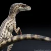 Wan Long Tang Studio – 1/10 Statue Jurassic Park III Female Velociraptor Licensed by Universal Pictures (Licensed) - Ph