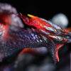 Dragon Frontier Studio – Valstrax Monster Hunter - Photo 20 | TopGKStore