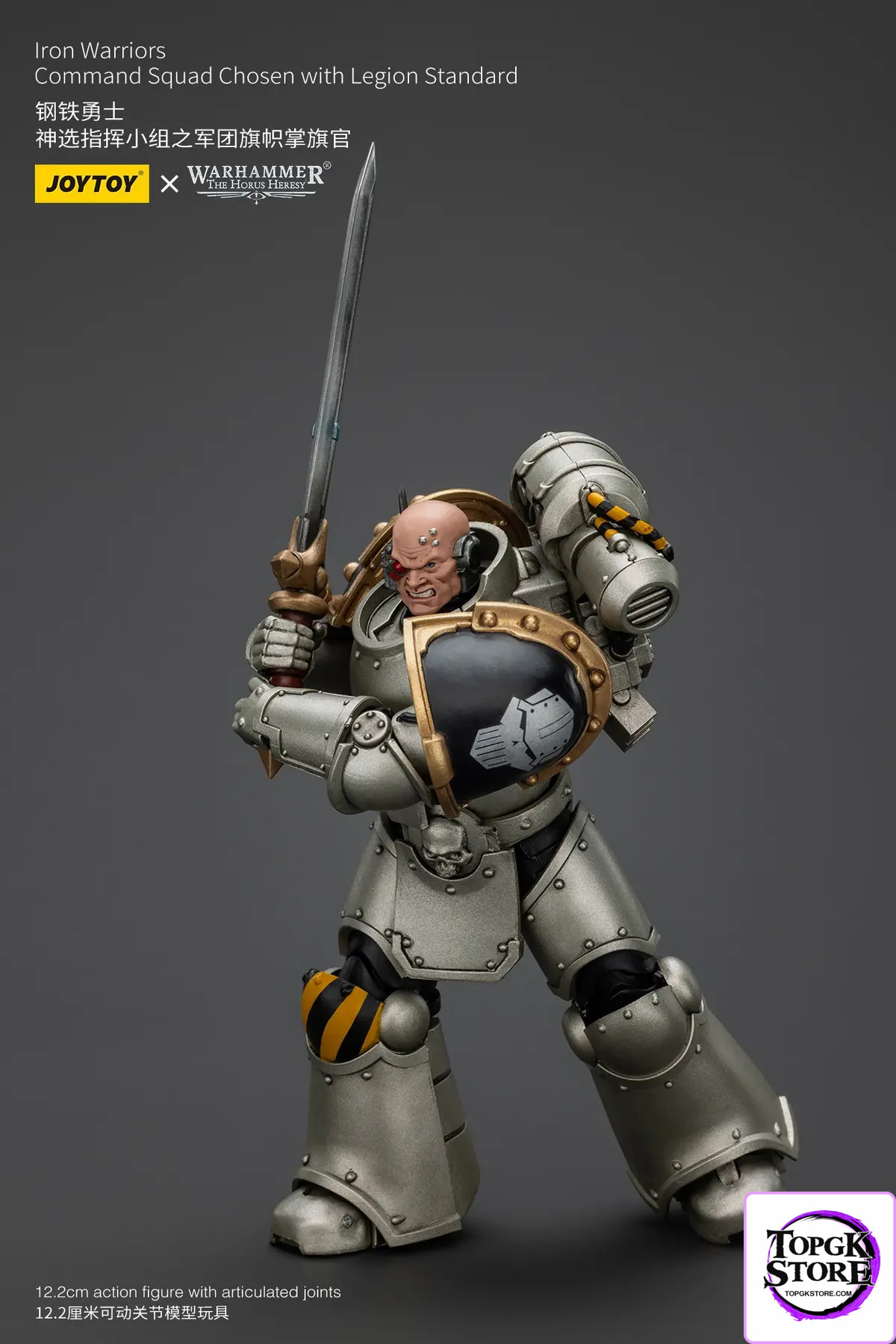 JOYTOY – Iron Warrior Legion Banner Bearer of the Chosen Command Squad JT01765 (Licensed) - Photo 12 | TopGKStore