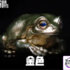 COR Studio – Tree Frog (Licensed) - Photo 13 | TopGKStore