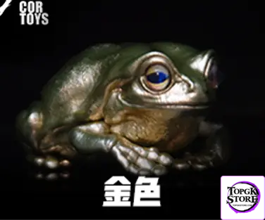 COR Studio – Tree Frog (Licensed) - Photo 13 | TopGKStore