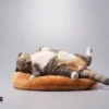 JXK - 1/6th Lethargic cat JXK070 - Photo 1 | TopGKStore