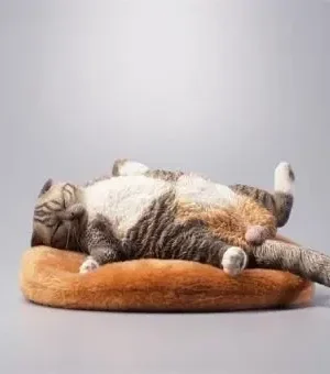 JXK - 1/6th Lethargic cat JXK070 - Photo 1 | TopGKStore