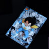 AONORI Studio – VEGETA Dragon Ball - Photo 6 | TopGKStore