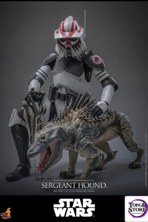 Hottoys – Sergeant Hound 1/6 Scale Collectible Figure TMS167 (Licensed) - Photo 2 | TopGKStore