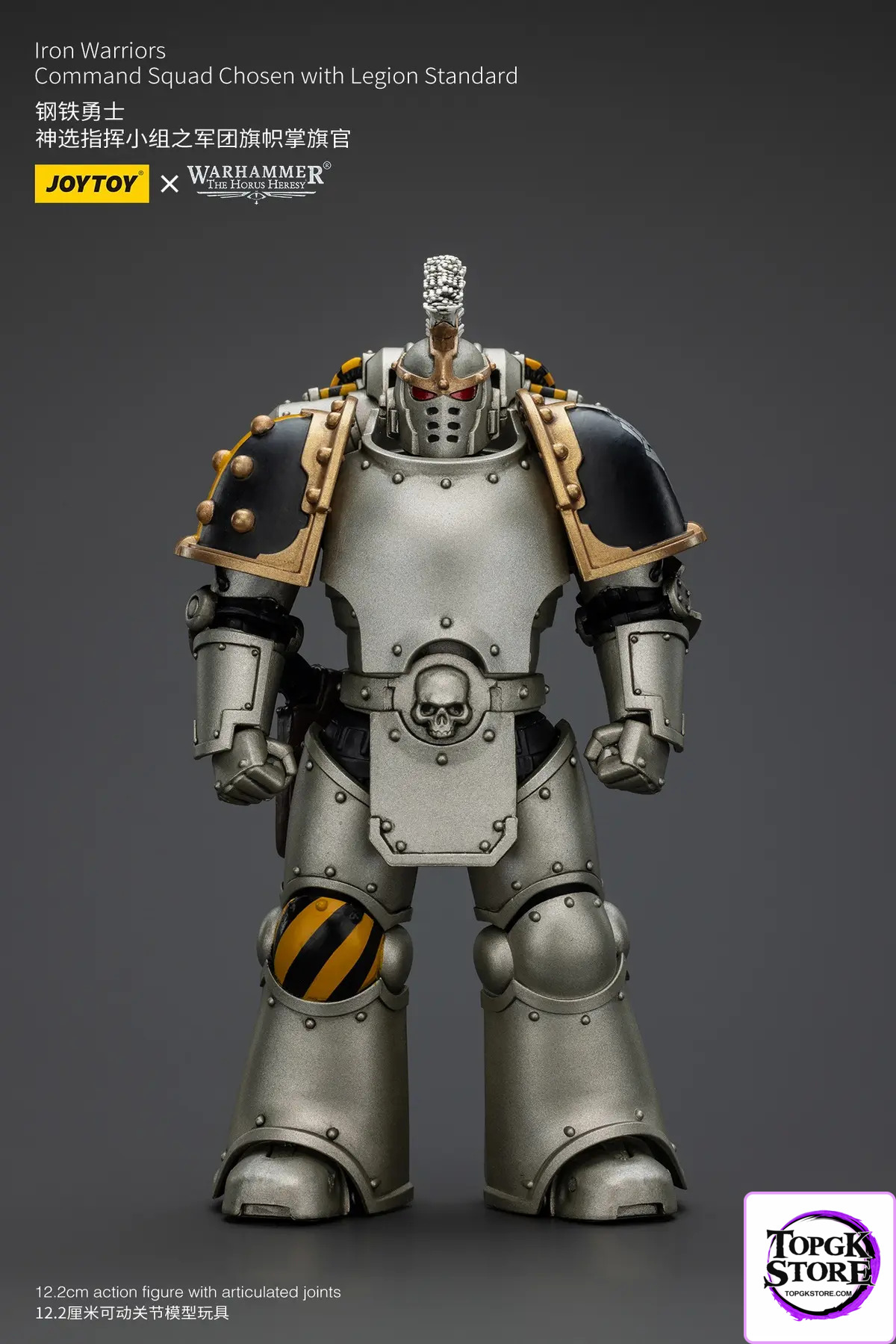 JOYTOY – Iron Warrior Legion Banner Bearer of the Chosen Command Squad JT01765 (Licensed) - Photo 10 | TopGKStore