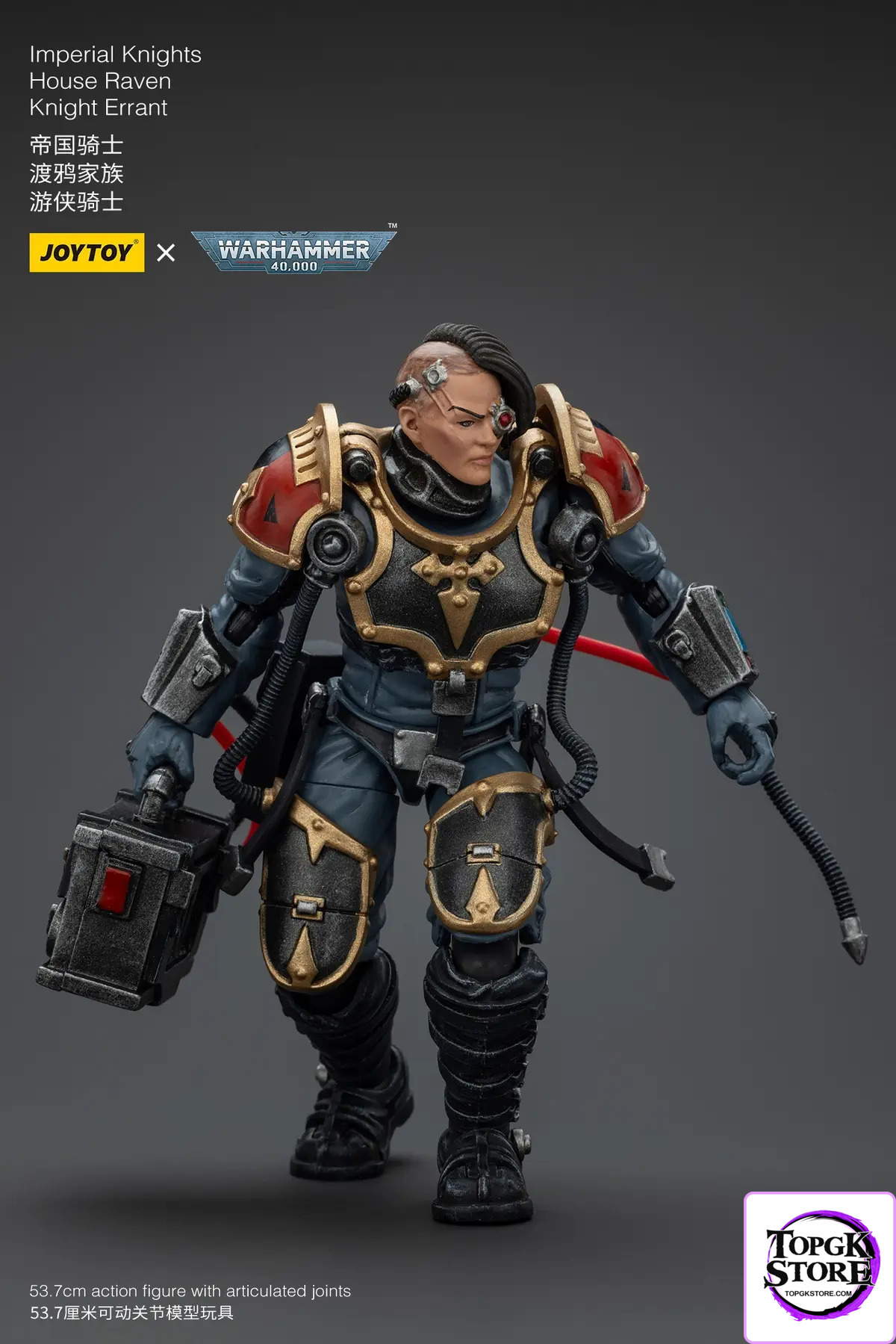 JOYTOY – Ultramarines Relic Secundus Armour & Imperial Knights House Raven Knight Errant JT01536 JT9305 (Licensed)