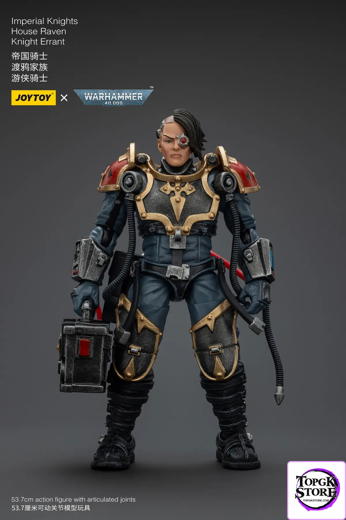 JOYTOY – Ultramarines Relic Secundus Armour & Imperial Knights House Raven Knight Errant JT01536 JT9305 (Licensed)