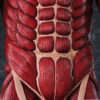 Kaiyodo – Mega Soft Vinyl Attack on Titan Colossal Titan (Licensed) - Photo 3 | TopGKStore