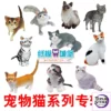 Qian Zhi Lu Studio - Animal Series 3D Paper Model DIY - Photo 1 | TopGKStore