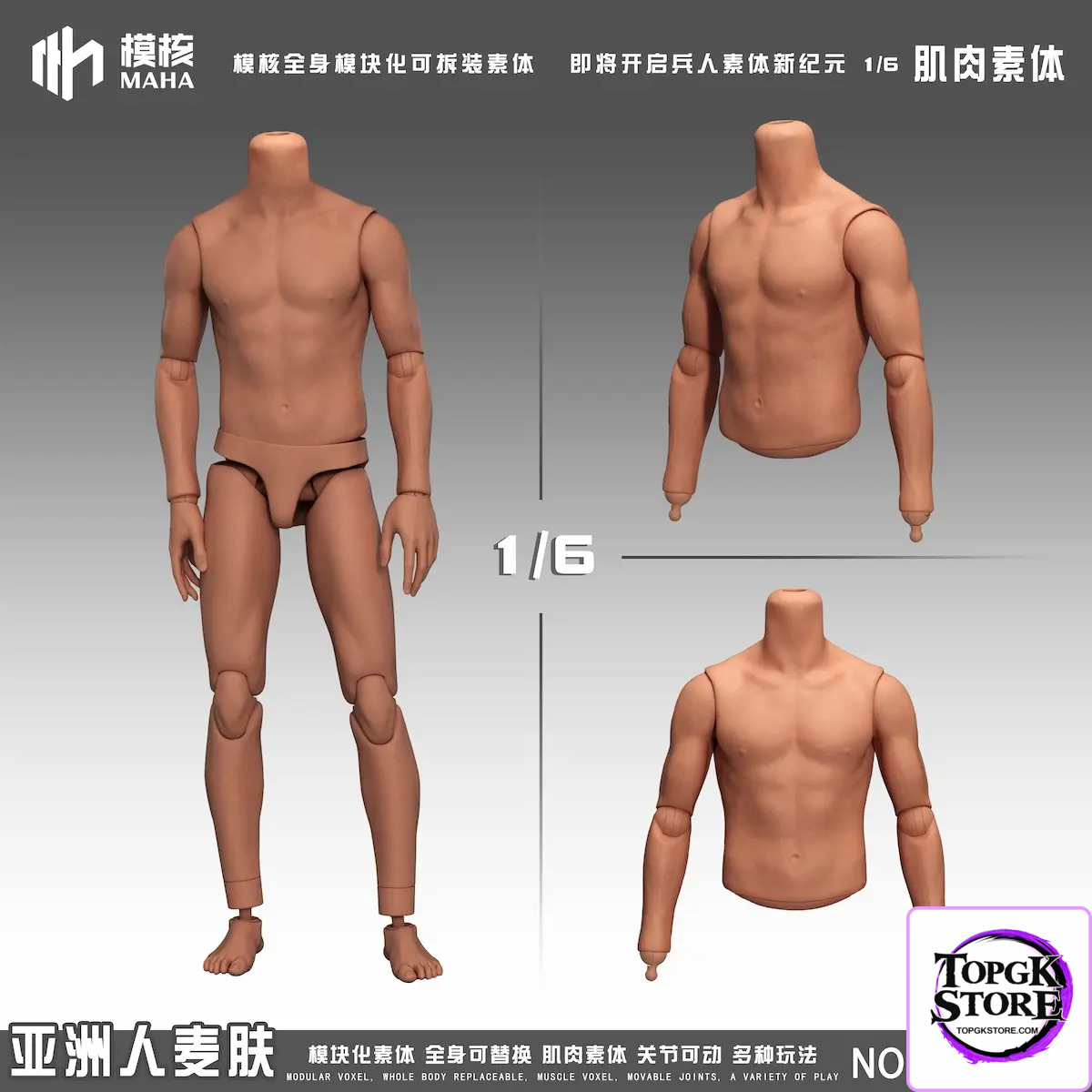 MAHA Studio – 1/6 Scale Male Action Figure Muscle Body Version MH2404A/B/C MH2405A/B/C (Licensed) - Photo 2 | TopGKStor