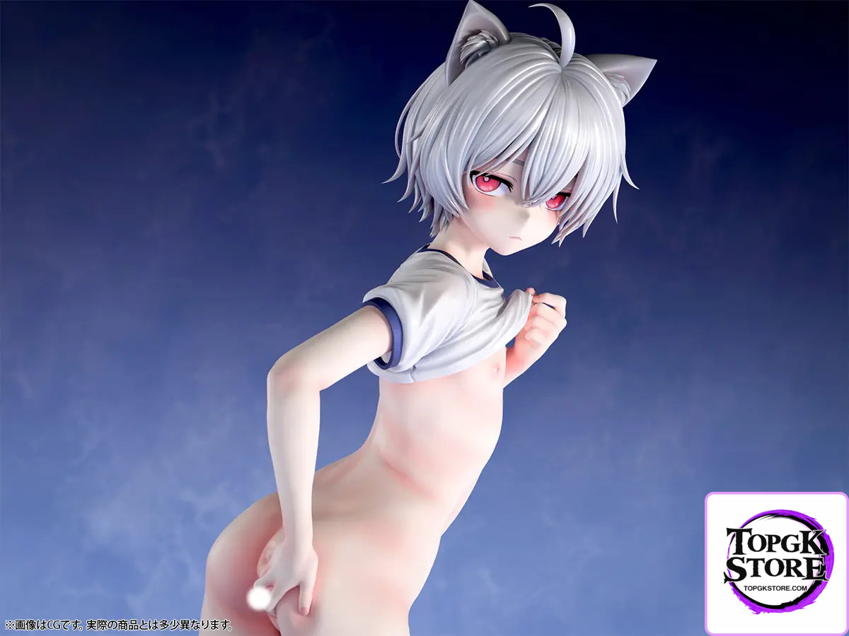 Insight – Nikkan Shoujo Beautiful boy with a sensual After P.E. Class Animal Ear Boy Allen 1/5 Scale Painted Complete F