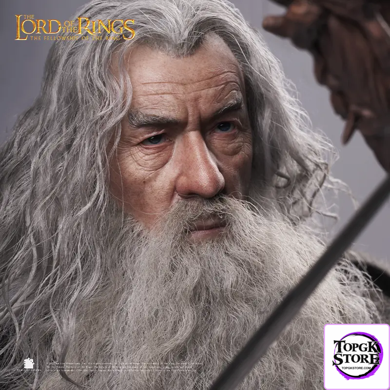 INART – Gandalf The Grey 1/6 Collectible Figure(Licensed) - Photo 23 | TopGKStore