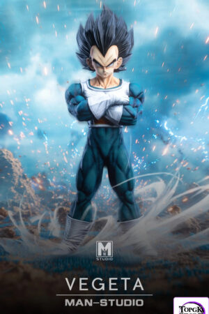 MAN Studio – Vegeta Dragon Ball - Photo 1 | TopGKStore
