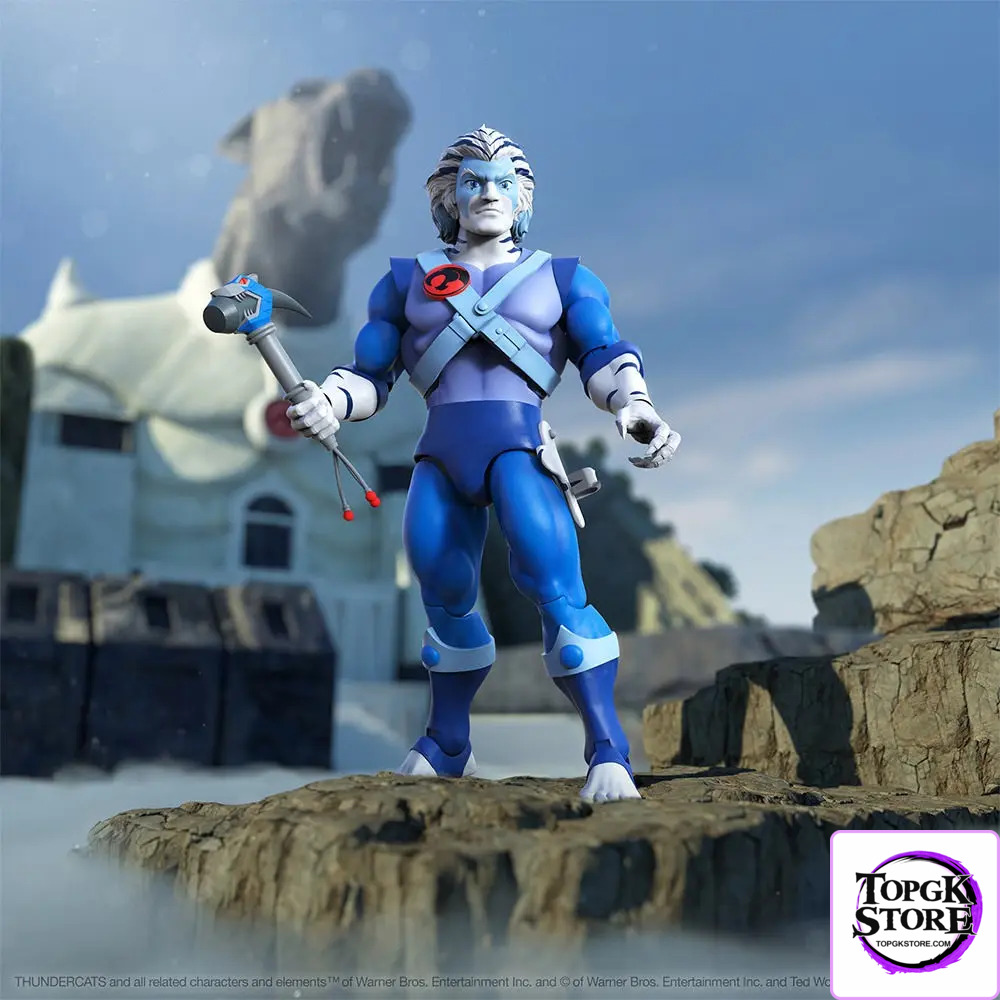 Super7 – Thunder Cats Wave 14 Bengal Cat & Mandora Cat SUP82249 SUP882250 (Licensed) - Photo 10 | TopGKStore