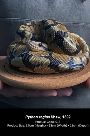 Snakegorge – Ball Python Statue (Licensed) - Photo 1 | TopGKStore