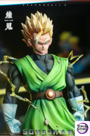 SOMKER Studio – Son Gohan Dragon Ball - Photo 1 | TopGKStore