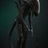 Hottoys – Alien Big Chap 1/6th scale Collectible Figure MMS826 (Licensed) - Photo 3 | TopGKStore