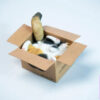 JXK – Cardboard Box Cat JS2504 (Licensed) - Photo 8 | TopGKStore