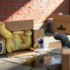 JXK – Cardboard Box Cat JS2504 (Licensed) - Photo 1 | TopGKStore