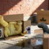 JXK - Cardboard Box Cat JS2504 (Licensed) - Photo 1 | TopGKStore