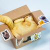 JXK – Cardboard Box Cat JS2504 (Licensed) - Photo 2 | TopGKStore