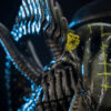 Premium Collectibles Studio – Grid Alien – 1/2 Scale Statue (Licensed) - Photo 3 | TopGKStore