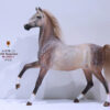 Mr.Z – Ferghana Horse 1/6 Statue (Licensed) - Photo 23 | TopGKStore