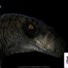 Elite Creature Collectibles (ECC) – Jurassic Park III Female Velociraptor White Queen & JP3 Velociraptor Resonating
