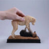 JXK – King Charles JXK301 (Licensed) - Photo 14 | TopGKStore