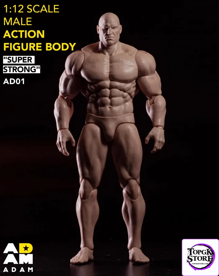 ADAM Studio – 1/12 Scale Muscular Male Articulated Body AD01 (Licensed) - Photo 1 | TopGKStore
