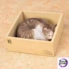 Manas SUM - Original Moriguchi Xiu - The sleeping Cat of Cats - The Tabby Cat (Licensed) - Photo 1 | TopGKStore