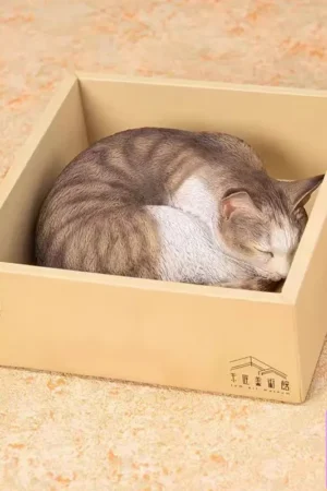 Manas SUM - Original Moriguchi Xiu - The sleeping Cat of Cats - The Tabby Cat (Licensed) - Photo 1 | TopGKStore