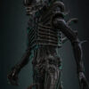 Hottoys – Alien Big Chap 1/6th scale Collectible Figure MMS826 (Licensed) - Photo 15 | TopGKStore