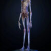 Deep Tale Studio – Chestburster (Alien: Covenant) Alien - Photo 4 | TopGKStore