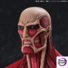 Kaiyodo – Mega Soft Vinyl Attack on Titan Colossal Titan (Licensed) - Photo 14 | TopGKStore