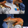 HAOZI Studio – Grand Admiral Thrawn Star Wars - Photo 7 | TopGKStore