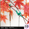 miHoYo – Honkai: Star Rail – Dan Heng Themed Impression Series Jewelry (Licensed) - Photo 1 | TopGKStore