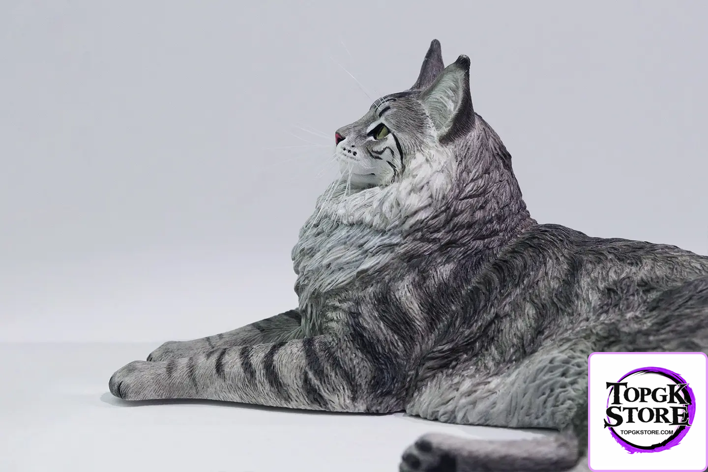 Lieji – 1/6 Maine Coon D2507A (Licensed) - Photo 5 | TopGKStore