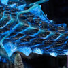 Roaring Wild Studio – Lagiacrus X Abyssal Laguacrus Monster Hunter - Photo 26 | TopGKStore