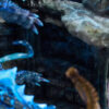 Roaring Wild Studio – Lagiacrus X Abyssal Laguacrus Monster Hunter - Photo 29 | TopGKStore