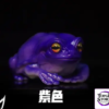 COR Studio – Tree Frog (Licensed) - Photo 17 | TopGKStore