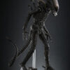 Hottoys – Alien Big Chap 1/6th scale Collectible Figure MMS826 (Licensed) - Photo 17 | TopGKStore